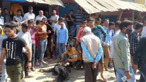 Agra News: सर्राफ की दुकान से आभूषण लेकर भाग रहे चोर को ग्रामीणों ने पकड़कर की धुनाई