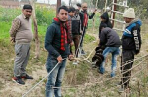 Etawah News: Electricity wires broken due to falling of tree, power system crippled