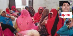 Etawah News: Cow missing in Gaushala, cows wandering on the streets