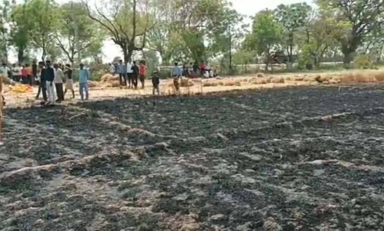 Agra News: बिजली के शार्ट सर्किट से पकी खड़ी फसल जलकर हुई राख