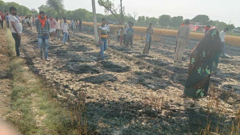 Agra News: आग लगने से तीन बीघा गेहूूं की फसल हुई खाक