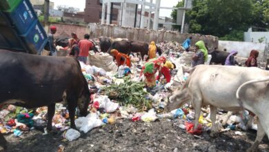 मेरठ न्यूज: शहर मैं गंदगी का लगा अंबार लोगों का जीना हुआ मुश्किल