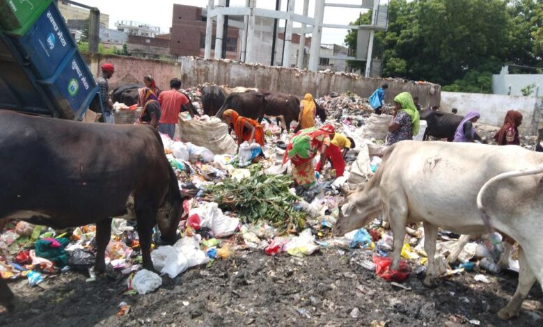 मेरठ न्यूज: शहर मैं गंदगी का लगा अंबार लोगों का जीना हुआ मुश्किल