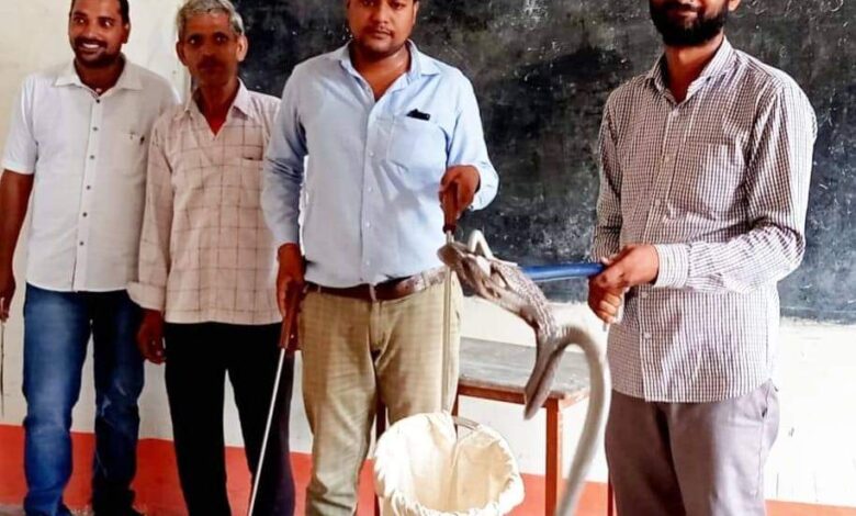 Etawah News: Snake turns out in Inter College, stir among students and parents