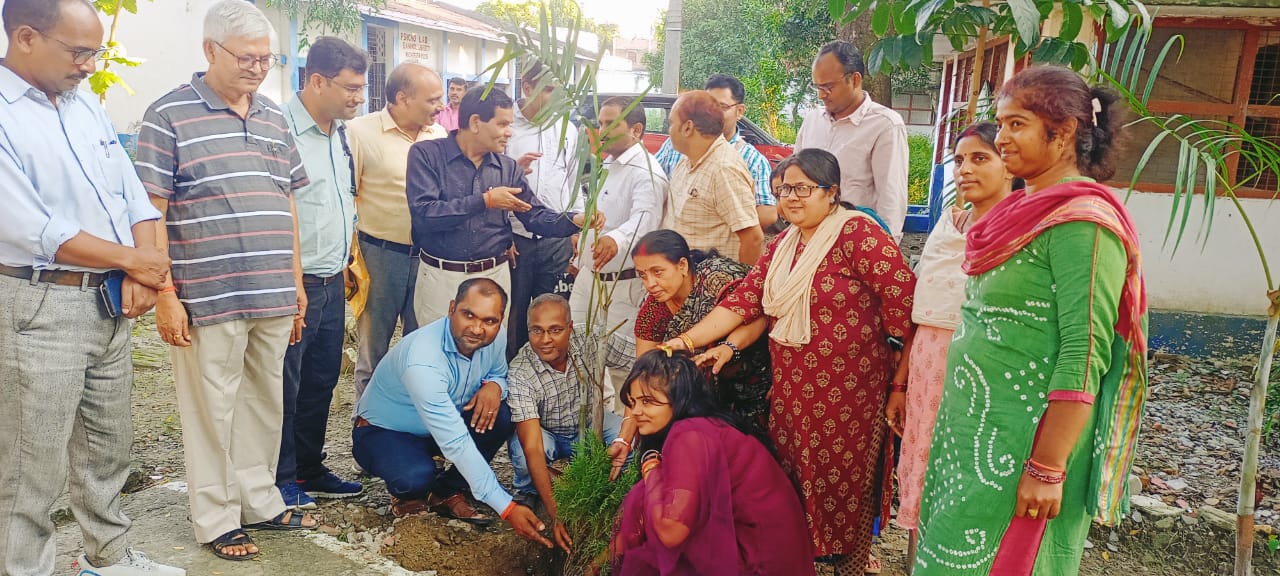 Bihar News: Tree plantation program organized in Bhupendra Narayan Mandal University, Madhepura (Bihar)