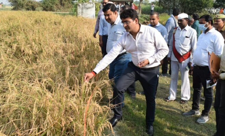 Prayagraj News : जिलाधिकारी ने ग्राम प्रधान से फसलों, सिंचाई, खाद, बीज सहित सरकार द्वारा चलायी जा रही योजनाओं के बारे में ली जानकारी