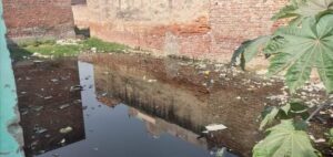 कलवारी गांव में जगह-जगह जलभराव से मच्छरों का आतंक, ग्रामीण हो रहे हैं परेशान*  *गाँव के मुखिया की उदाशीनता के कारण पनप रहे डेंगू के मच्छर