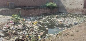 कलवारी गांव में जगह-जगह जलभराव से मच्छरों का आतंक, ग्रामीण हो रहे हैं परेशान*  *गाँव के मुखिया की उदाशीनता के कारण पनप रहे डेंगू के मच्छर