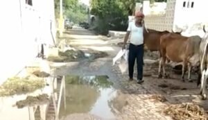कलवारी गांव में जगह-जगह जलभराव से मच्छरों का आतंक, ग्रामीण हो रहे हैं परेशान*  *गाँव के मुखिया की उदाशीनता के कारण पनप रहे डेंगू के मच्छर