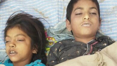 Bihar News : मुख्यमंत्री ग्राम संपर्क योजना से बन रहे सड़क में लिए मिट्टी कटाई से बने गहरे गड्ढे में मिट्टी में दबने से एक बालक और बालिका की दर्दनाक मौत के जिम्मेदार निर्माण कंपनी के संवेदक और कार्य के जबाब देह अभियंताओं पर हत्या का मुकदमा कर कार्रवाई करे सरकार:भाकपा माले