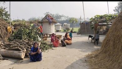 Bihar News: One such dalit colony of Champaran where even after decades of independence there is helplessness of electricity and road