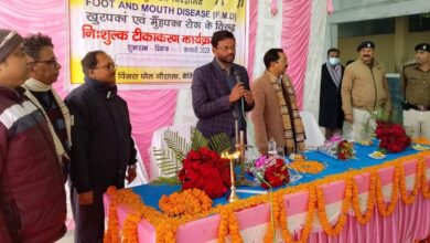 Bihar News: Get 100% vaccination of targeted animals: In-charge District Magistrate
