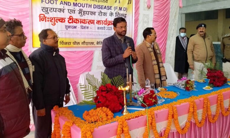Bihar News: Get 100% vaccination of targeted animals: In-charge District Magistrate