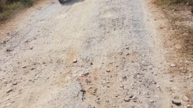 सड़क मार्ग पर बड़े-बड़े गड्ढे हो ने से राहगीरों को परेशानियों का करना पड़ता सामना