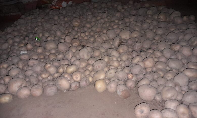 Bihar News--हाजीपुर 16 मार्च 2023, अखिल भारतीय किसान महासभा नेसरकार से आलू भंडारण नीति बनाने की मांग की है