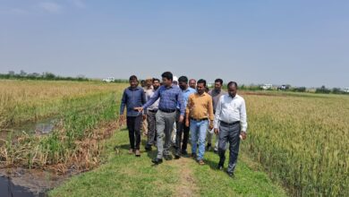 Prayagraj News : जिलाधिकारी ने फसलों के हुए नुकसान का सर्वे कराकर तत्काल रिपोर्ट प्रस्तुत करने का दिया निर्देश