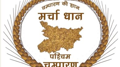 Bihar News जीआई जर्नल में प्रकाशित हुआ मरचा धान का जिओग्राफिकल इंडिकेशन, शीघ्र मिलेगा जीआई टैग