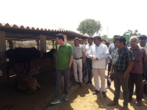 Prayagraj News :विशेष सचिव, माध्यमिक शिक्षा ने अस्थायी गौशाला का किया निरीक्षण