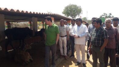 Prayagraj News :विशेष सचिव, माध्यमिक शिक्षा ने अस्थायी गौशाला का किया निरीक्षण