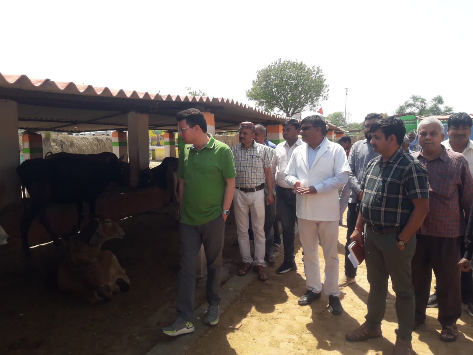 Prayagraj News :विशेष सचिव, माध्यमिक शिक्षा ने अस्थायी गौशाला का किया निरीक्षण