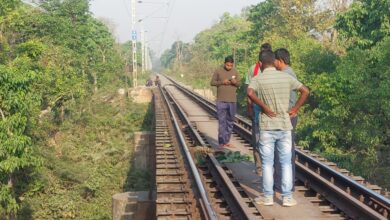 Bihar News: Leopard killed by train, stir in forest department