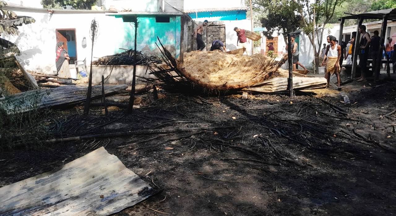 Bihar News: Fire broke out due to unknown reasons, scorched cow's calf, found under control