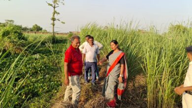 Bihar News : सात दिन के अंदर पूरे नगर निगम क्षेत्र की साफ सफाई में सुधार नहीं करने पर कार्रवाई तय:गरिमा