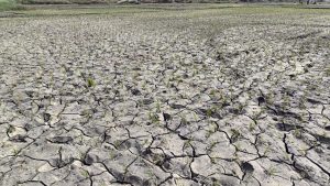 Bihar News गर्मी का कहर, हीटवेव ने तीन दशक का तोड़ा रिकार्ड और जलस्तर किया नीचे