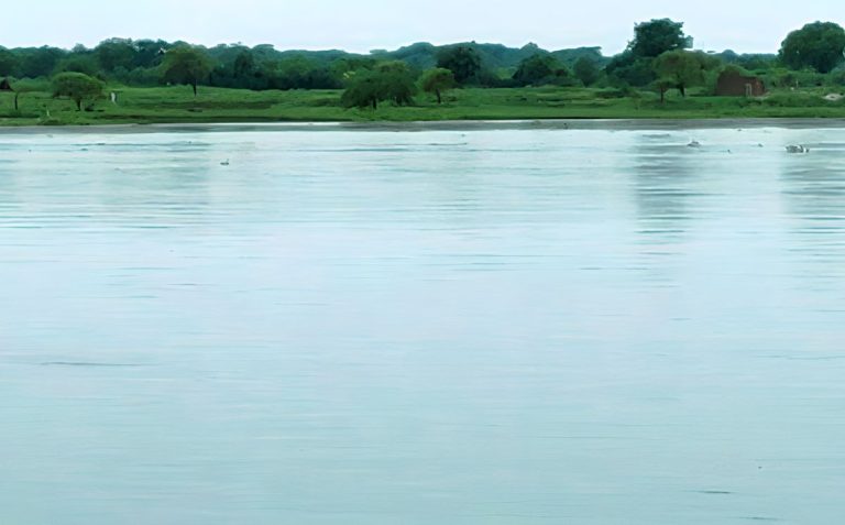 Etawah News: Rising water level of Yamuna river poses threat to 50 villages