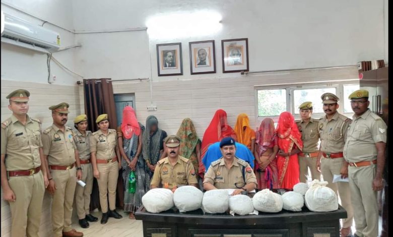 Agra News: बाबरिया गैंग की सात महिलाओं को अवैध गाँजे सहित पुलिस ने किया गिरफ्तार