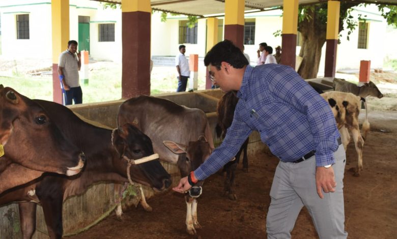 Prayagraj News :जिलाधिकारी ने अस्थायी गोवंश आश्रय स्थल को आदर्श गोवंश आश्रय स्थल के रूप में विकसित किए जाने हेतु दिए निर्देश