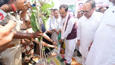 Prayaagraj News :प्रदेश में 35 करोड़ वृक्षारोपण जन अभियान-2023 के तहत प्रयागराज में लगभग 64 लाख पौधों का किया गया रोपण