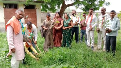 Ambedkar Nagar News; BJP District Vice President Suman Pandey planted trees with party workers