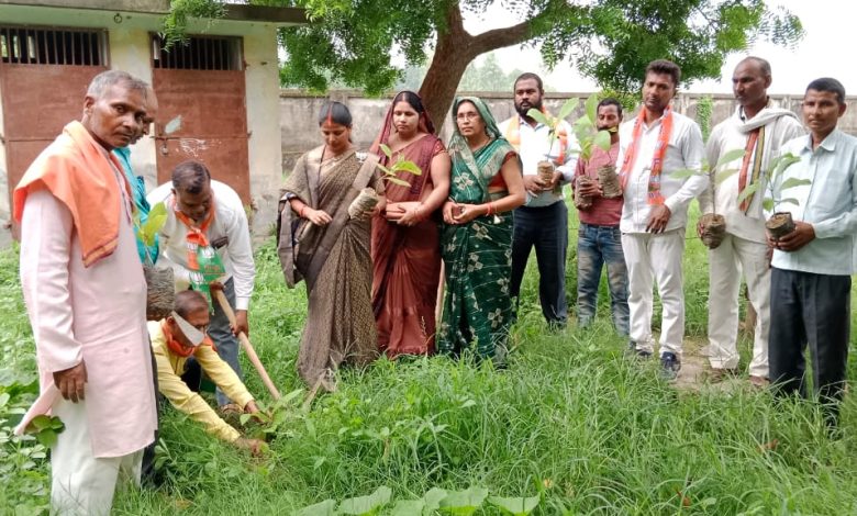 Ambedkar Nagar News; BJP District Vice President Suman Pandey planted trees with party workers
