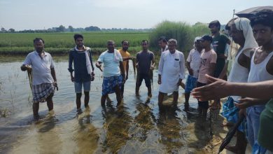 Bihar News हरीनगर चीनी मिल ने रामरेखा नदी के पानी को ज़हर में बदल दिया-विधायक