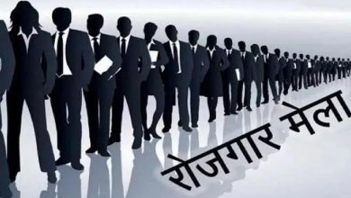 Prayagraj News: 210 and 73 youth got employment in the employment fair in Vikaskhand, Mauaima and Soraon blocks.