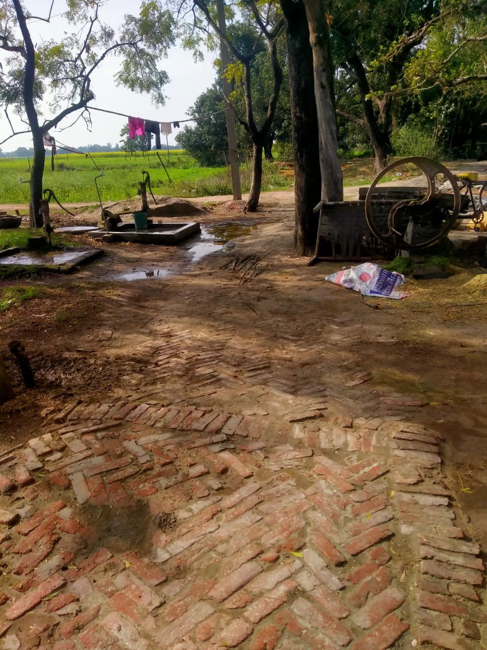 Ambedkar Nagar News Complaint of encroachment on public road