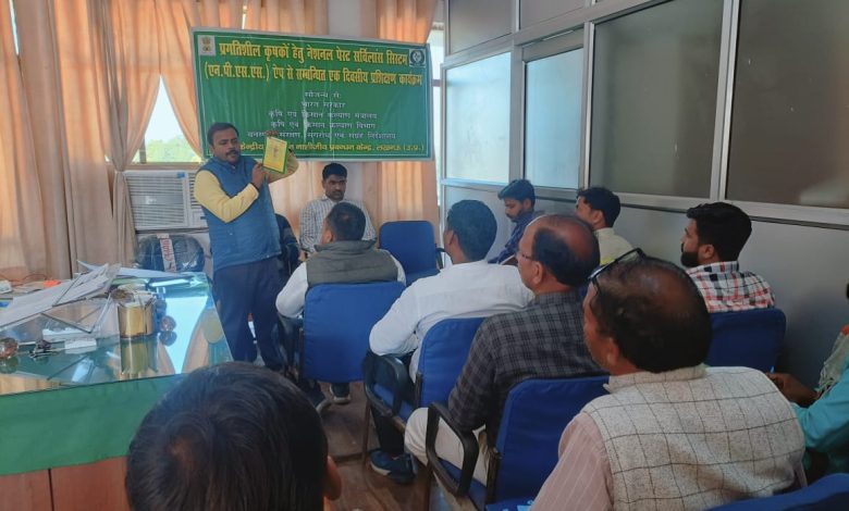 Prayagraj News: Government of India team gave training to progressive farmers about National Pest Surveillance System (NPSS).