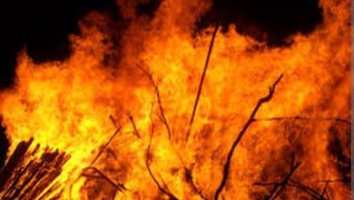 Bihar news Bagaha- Five members of the same family were burnt to death due to fire in Khiriya village.