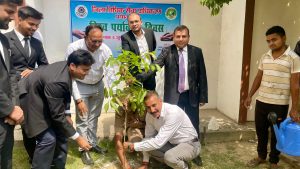 Prayagraj News: On the occasion of World Environment Day, tree plantation was done by the Honorable District Judge and other judicial officers