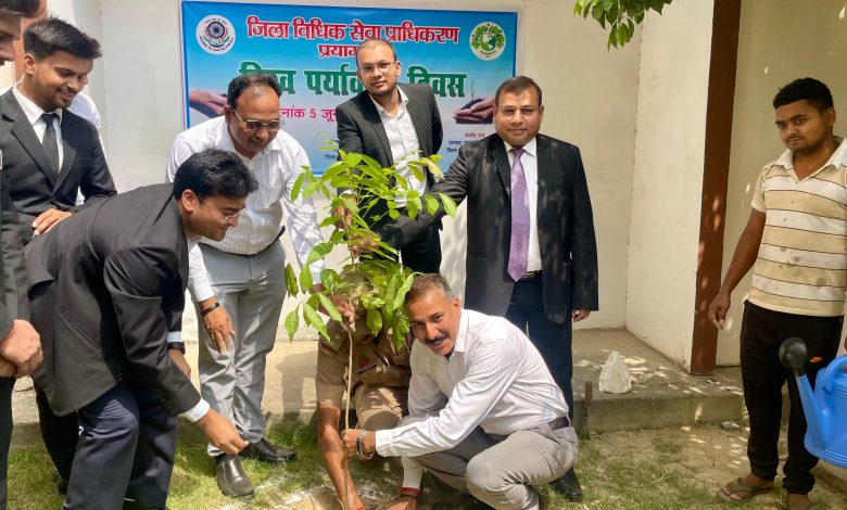 Prayagraj News: On the occasion of World Environment Day, tree plantation was done by the Honorable District Judge and other judicial officers