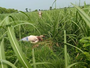 Bihar news: The body of a laborer who had gone to work was found, he was murdered by slitting his throat