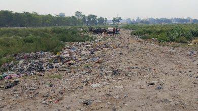 Bihar news Municipal commissioner should immediately stop dumping of garbage in the city's historical heritage Hazari Bagh: Garima
