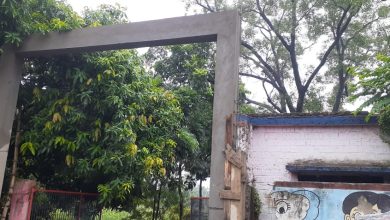Bihar News-An application was given to the DM regarding the irregularities in the construction of the gate at the main entrance of High School Pokharera