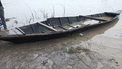 Bihar news 6 people drowned, one missing after boat capsized in Gandak river