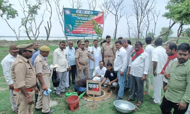 Ambedkar Nagar News MLA gave the message of environmental protection by planting trees