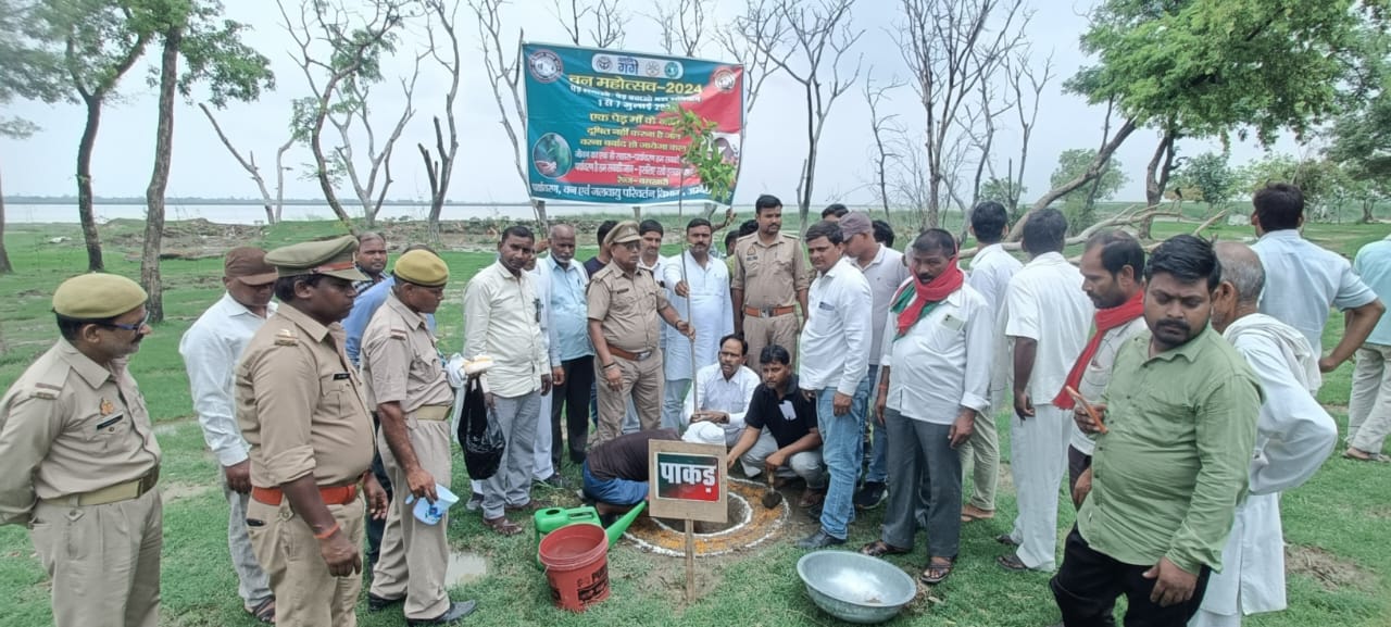 Ambedkar Nagar News MLA gave the message of environmental protection by planting trees