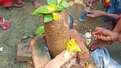 Agra News: Shivling found in the field becomes the center of faith