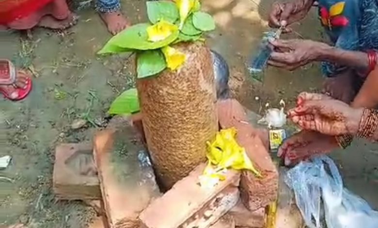 Agra News: Shivling found in the field becomes the center of faith
