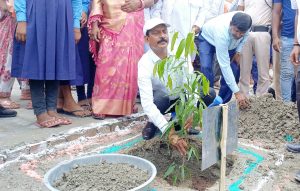 Bihar news: Tree plantation is very important to protect the environment: District Magistrate